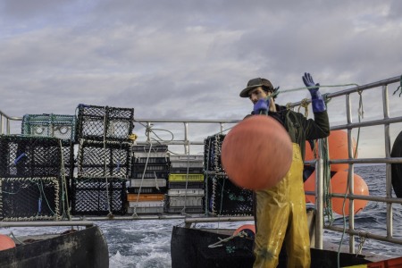 Creel Fishing for crabs